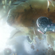 You don’t even have a cool ship to fly around in the Quantum Realm, Scott.